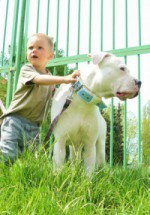 Berushka -la-matia-praisee